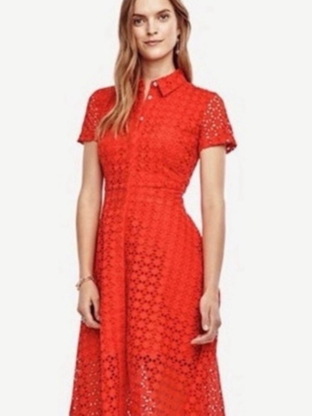 Ann Taylor Eyelet A-Line dress